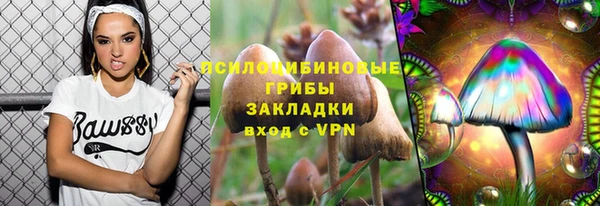твердый Алзамай