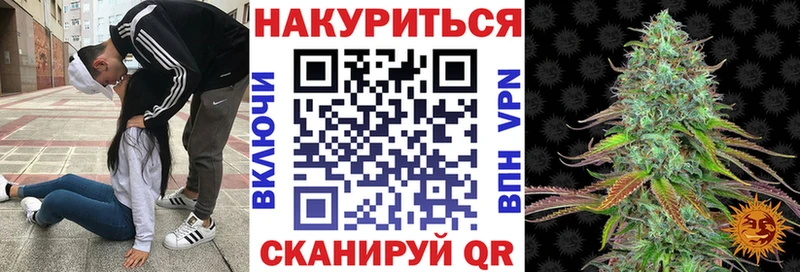 Конопля планчик  Зерноград 